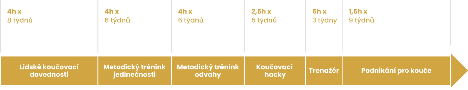 Cesta za PCC certifikací ICF