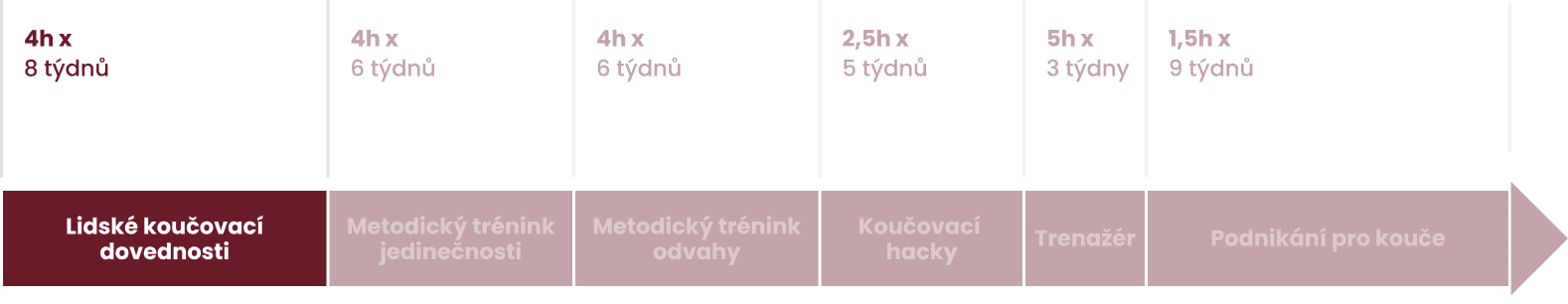 Vstupní brána do koučování